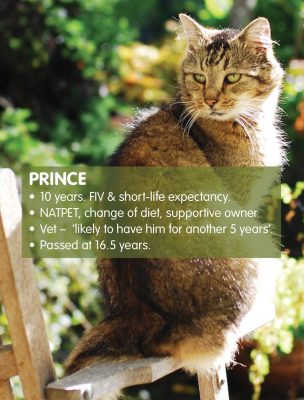 prince_animalhealthcentre_website